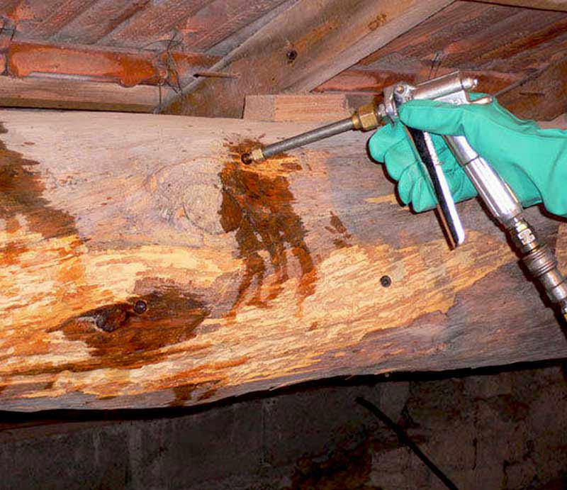 Charpente - Ets Le Compagnon Couvreur : charpentier couvreur dans toute la Normandie : Charpente & Traitement bois : Charpente traditionnelle, à fermettes … du massif au lamellé-collé. Traitement des bois, boiseries, menuiserie …  ETS LE COMPAGNON COUVREUR : intervention dans toute la Normandie :  la Manche (50), le Calvados (14), l'Eure (27), l'Orne (61) et la Seine-Maritime (76).